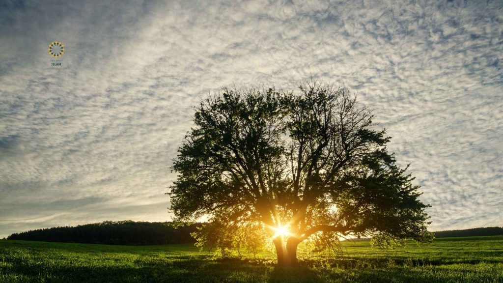 Does-Islam-Teach-Minimalism-Living-Simply-Without-Hating-the-World