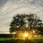 Does-Islam-Teach-Minimalism-Living-Simply-Without-Hating-the-World