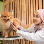 Are-Dogs-Really-Impure-in-Islam