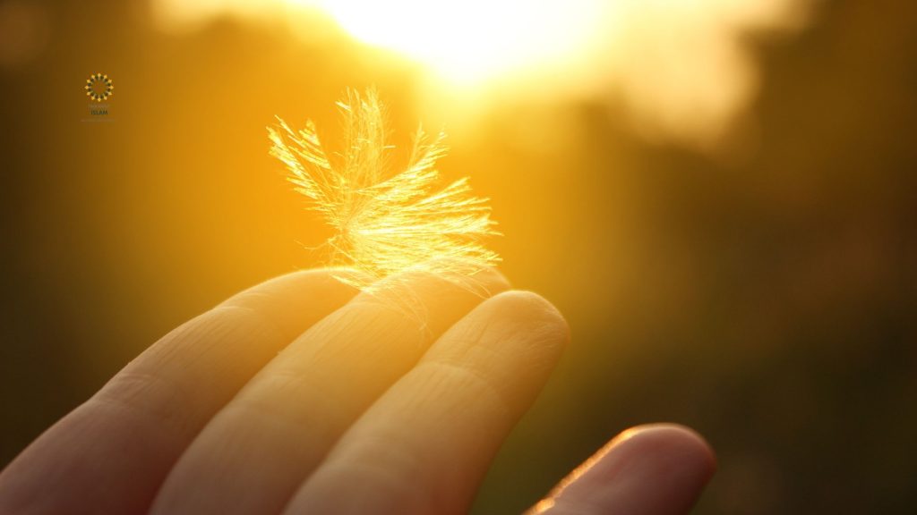 Do-Dreams-Carry-Messages-in-Islam